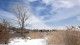 snowy trail surrounded by bare brown trees and twigs