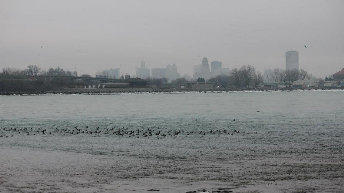 Winter scenery in Niagara Falls, surrounded by grey skies and winter birds