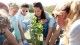 Group of individuals plant tree into the ground