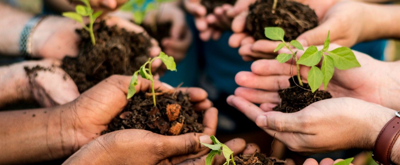 Hands in a circle holding dirt and sprouted plant