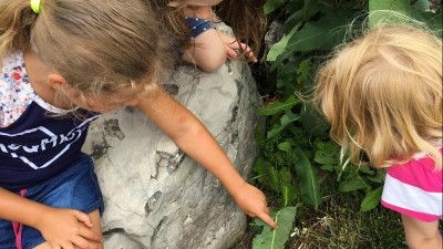 Group of girls spotting bugs on leaves
