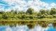 Header Photo NPCA- Green trees surrounded by clear water and blue skies