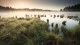 Gloomy view of water with greenery around it