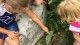 kids pointing at insects at conservation area