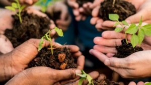 Hands in a circle holding dirt and sprouted plant
