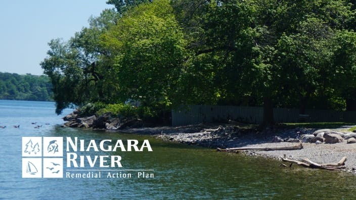 Photo of Queens Royal Beach with Niagara River RAP logo in white