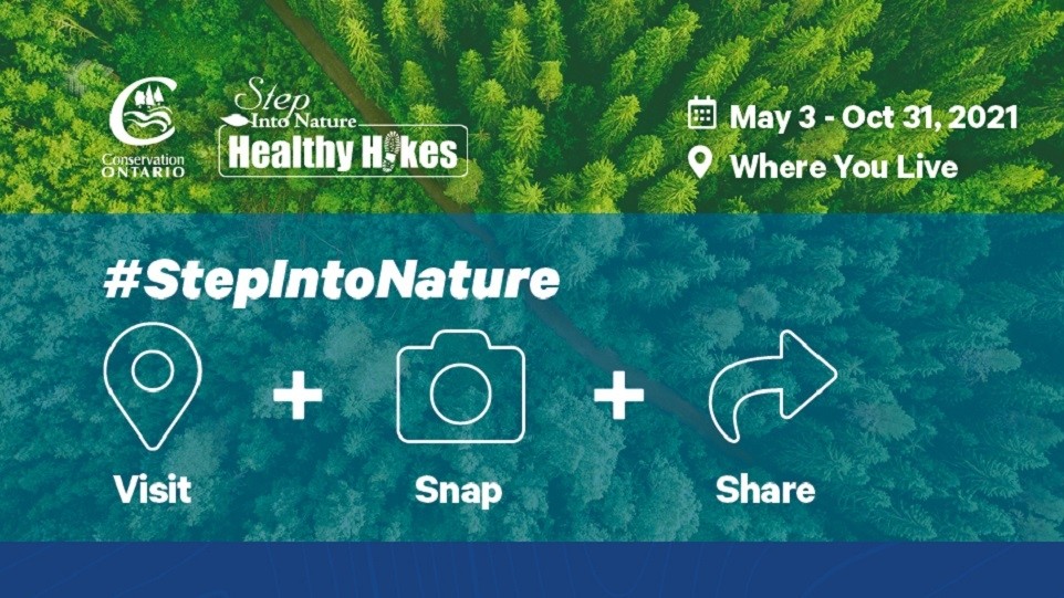Healthy Hikes 2021 Graphic, green trees, pink and purple border, social media icons