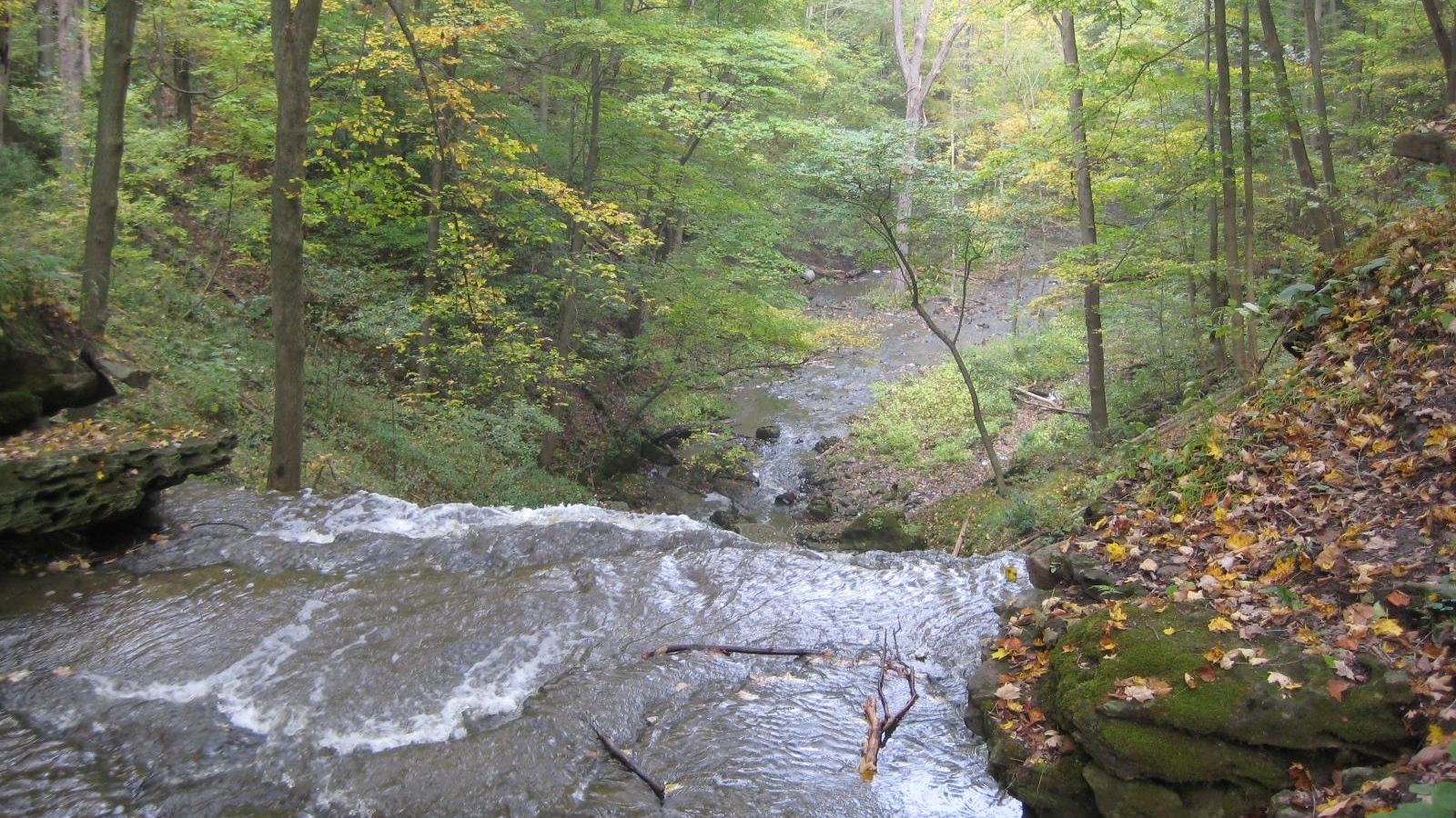 Louth Falls in Autumn