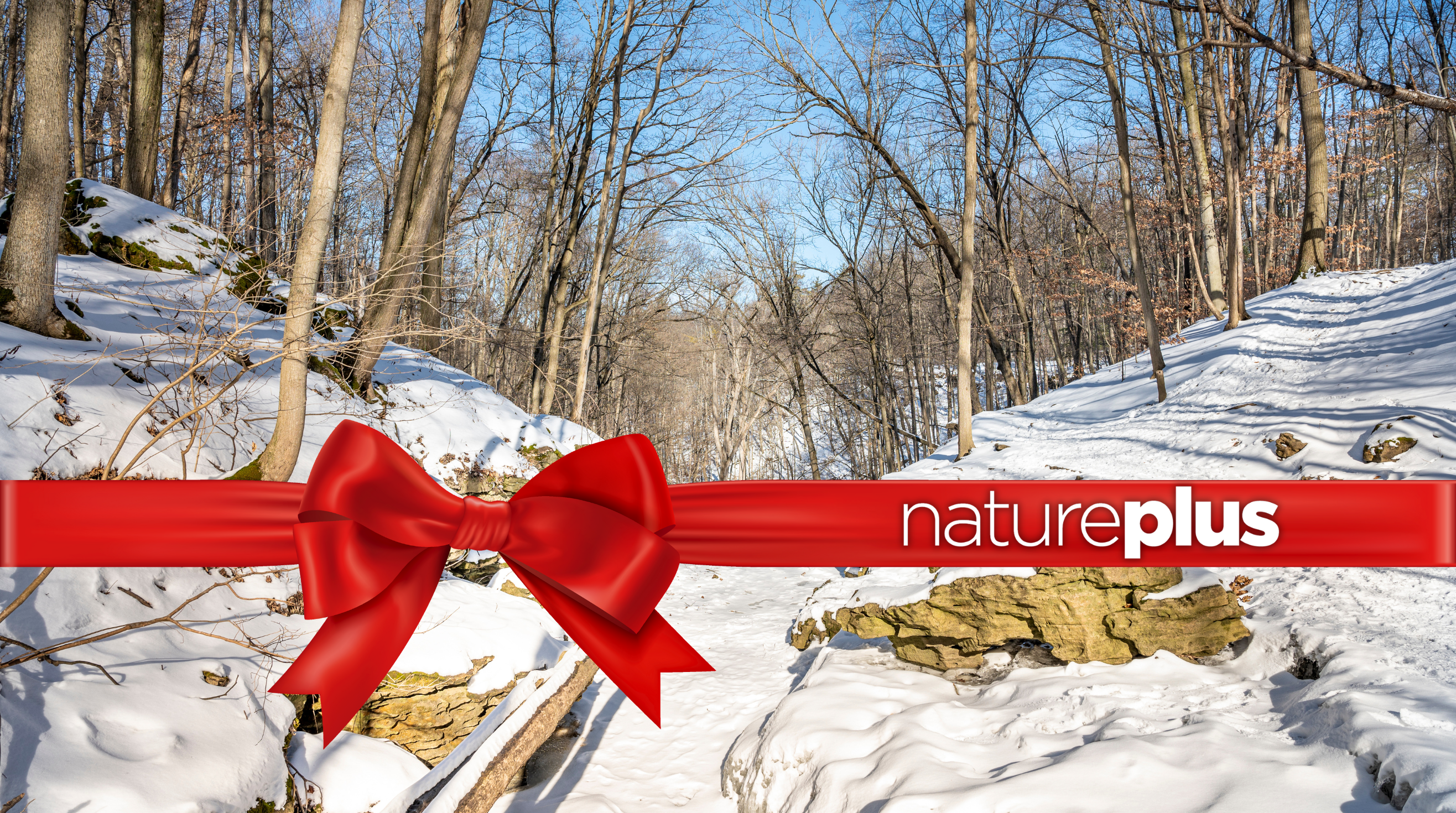 Annual pass card with background of Woodend Conservation Area in the winter. The red bow with natureplus written across it represents the holiday season