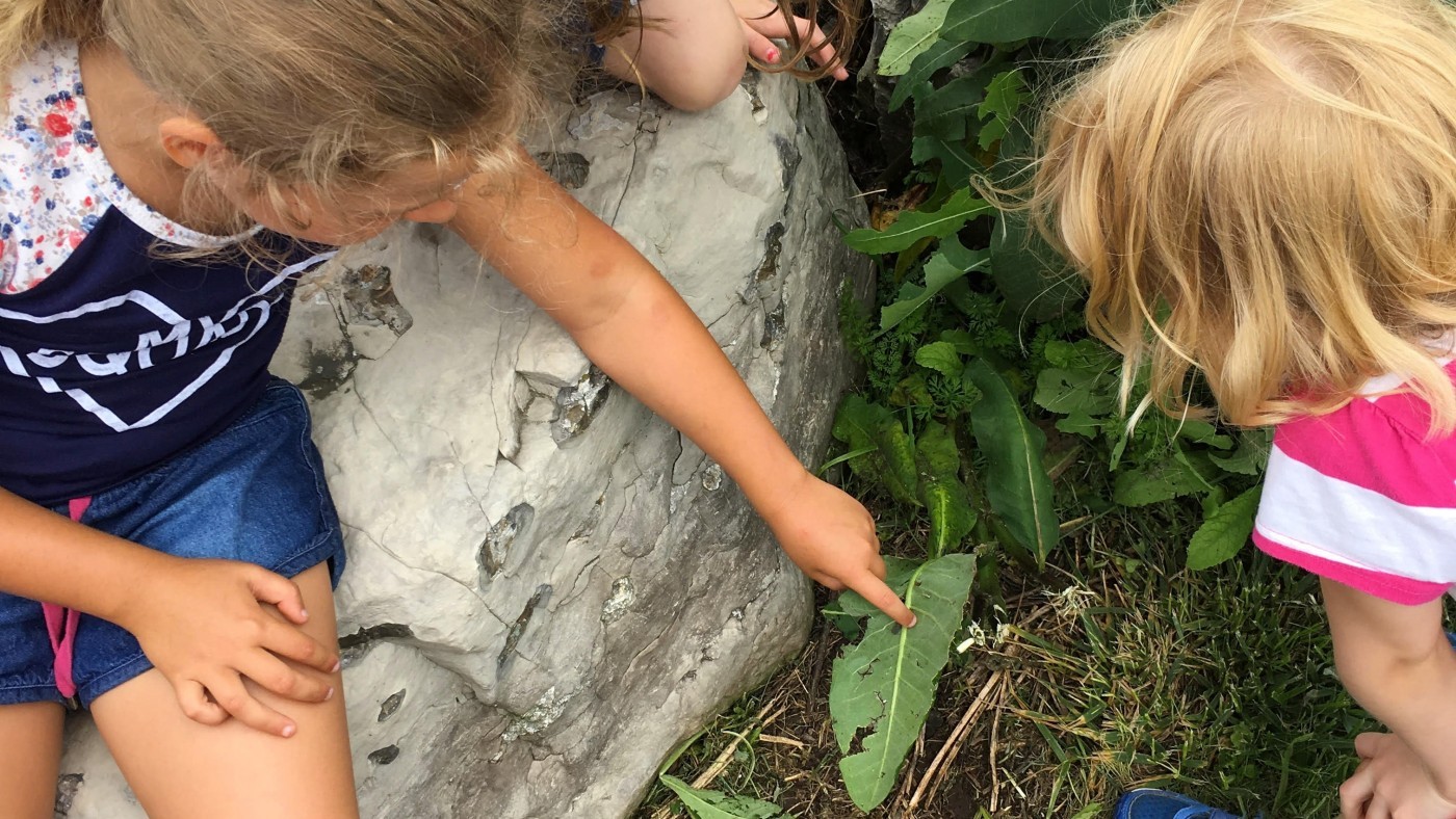 Three kids pointing to insects at conservation areas