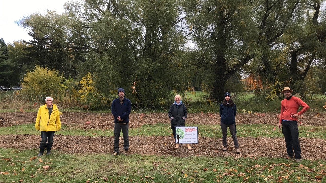 Restoration tree planting in niagara on the lake with friends of one mile creek 