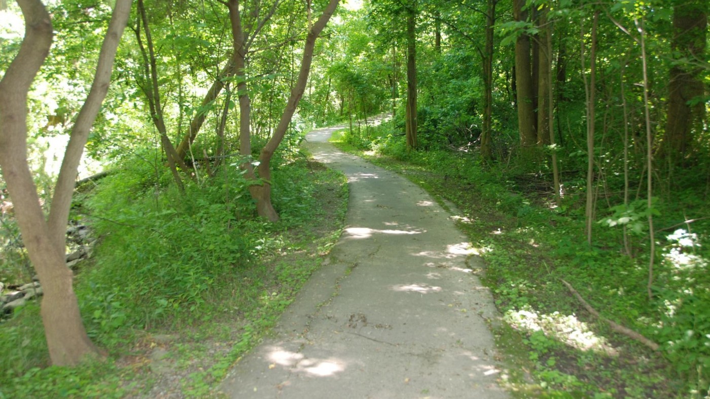 trail in the npca surrounded by greenspace