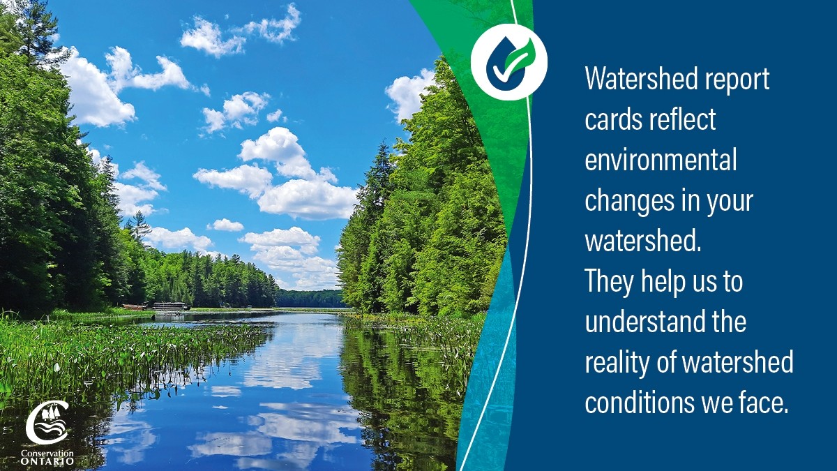 Watershed Report Card graphic 2023